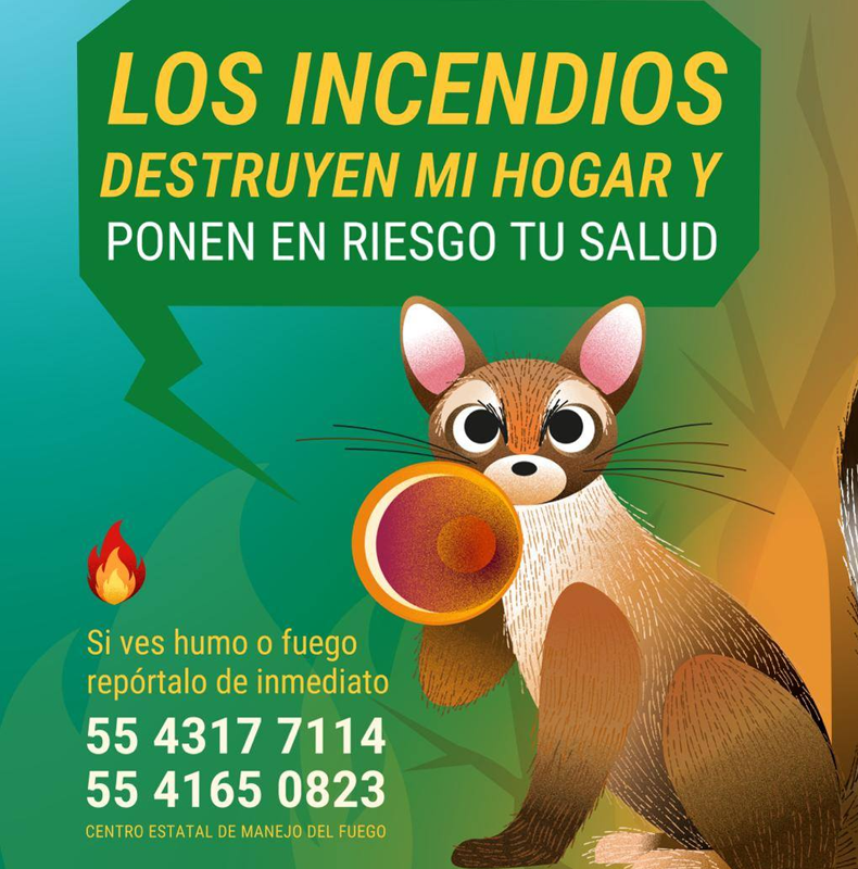 No recicla
