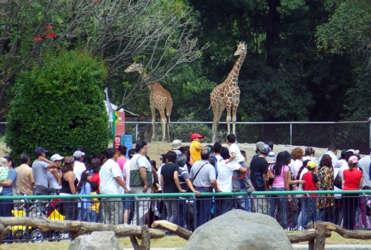 ZOO_4.jpg