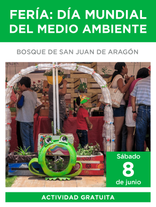 feria_ambiental_311x411.png