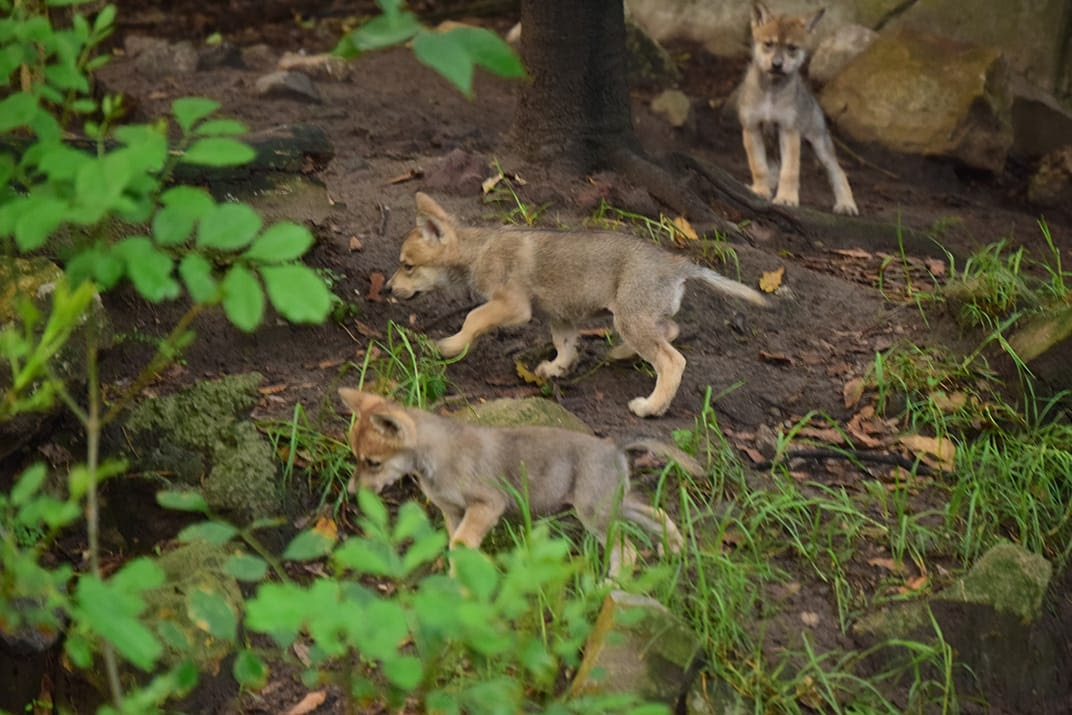 unnamed - 2019-06-24T151248.176.jpg