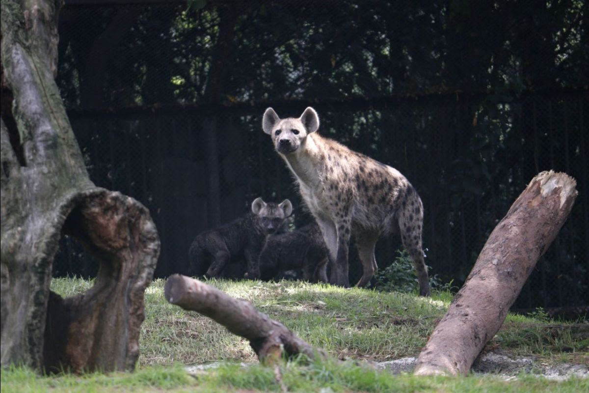 unnamed - 2019-07-19T170406.237.jpg