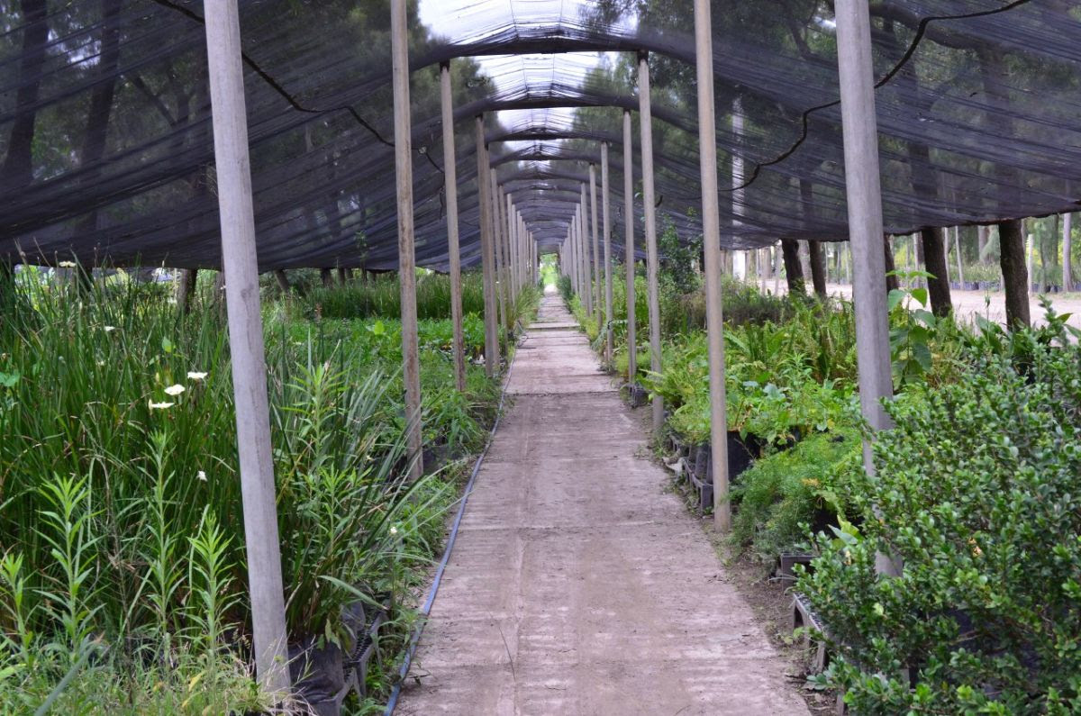 unnamed - 2019-08-05T110304.609.jpg