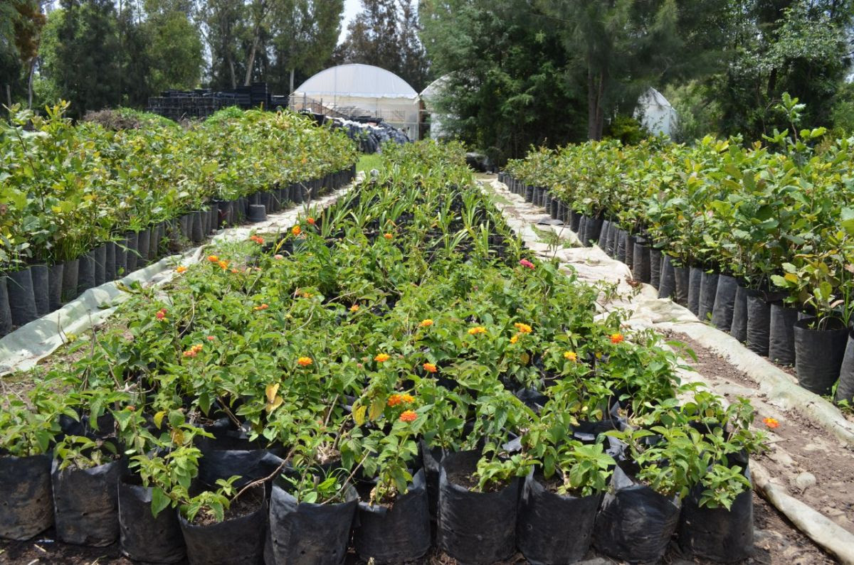 unnamed - 2019-08-05T110308.833.jpg