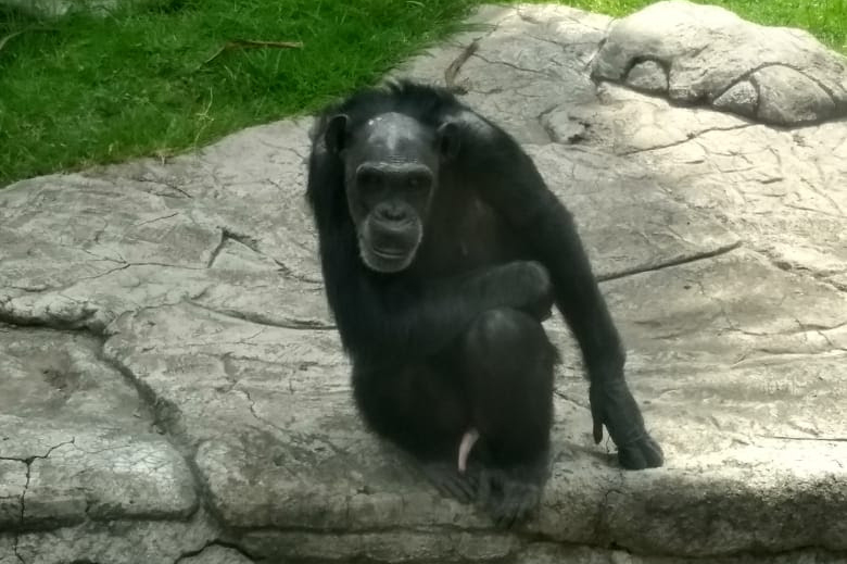 unnamed - 2019-08-28T163044.914.jpg