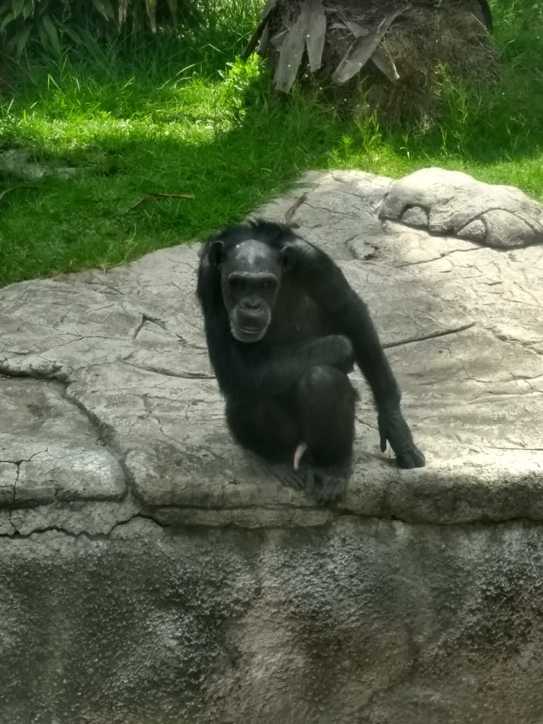 unnamed - 2019-10-10T151148.238.jpg