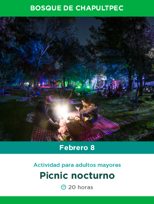 BANNERS_febrero_web-04.png