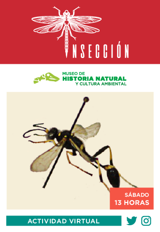 BANNERS SEDEMA MARZO-05.png