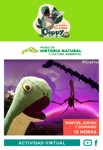 BANNERS SEDEMA MARZO-01.png