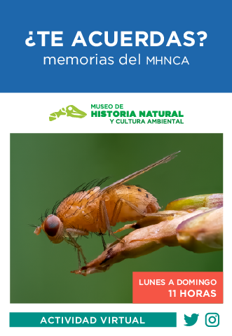 BANNERS SEDEMA MARZO-06.png