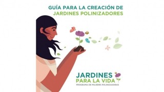 Crea un jardín para polinizadores 🦋