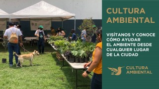 Cultura Ambiental 🦋