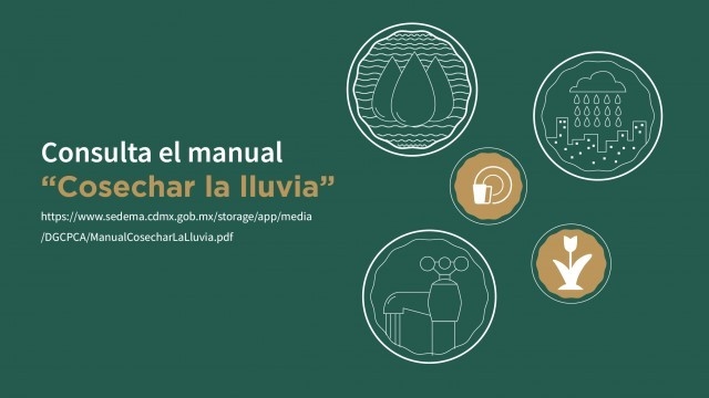 Manual para cosechar