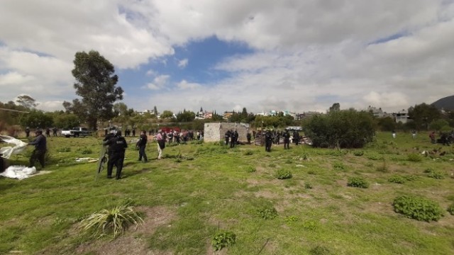 Tláhuac 3.jpg