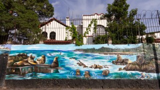 Reconoce Sedema proyecto que acerca los océanos a la ciudad a través de murales