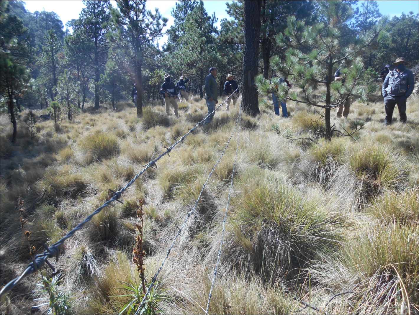 Ajusco1M.jpg