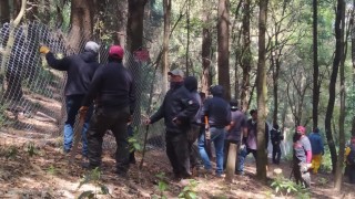 Recupera y conserva Sedema 3 mil metros cuadrados de Suelo de Conservación en Santa Rosa Xochiac