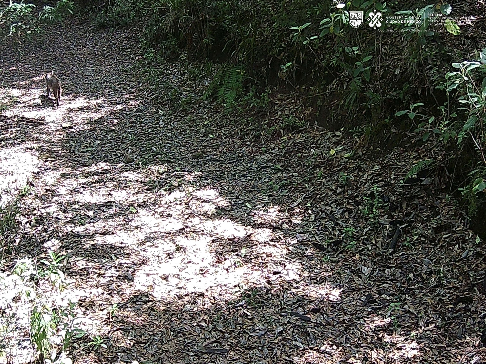 20230422_175118.jpg