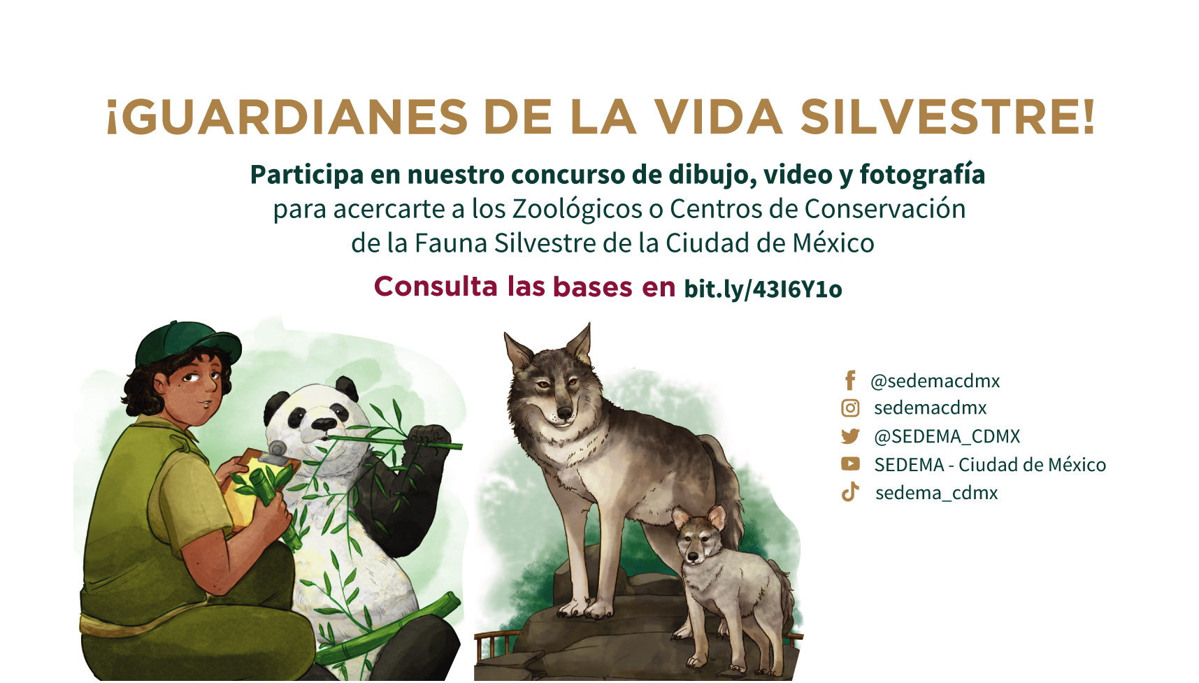 Guarniales de la vida silvestre redes2.png