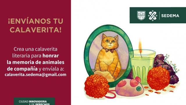 calaverita michi 2023.png