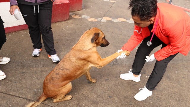 1avancesbienestaranimal.jpeg