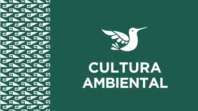 Cultura Ambiental
