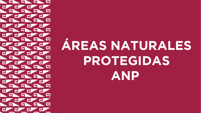ANP