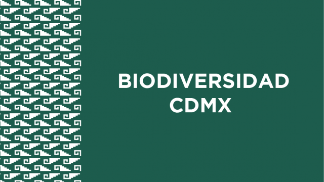 Biodiversidad
