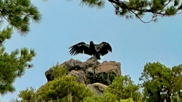 IMG-20240805-WA0058.jpg