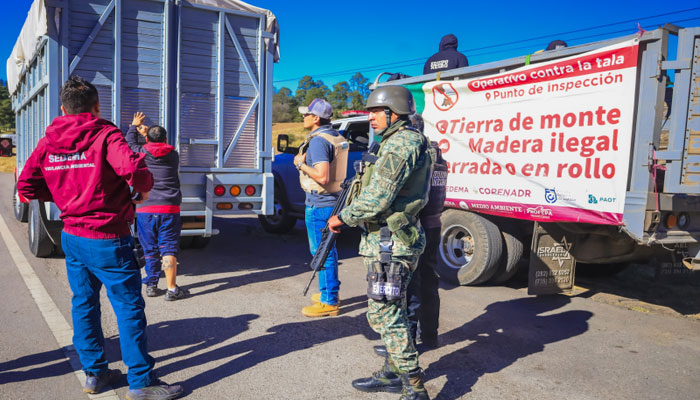 inspeccion001.jpg