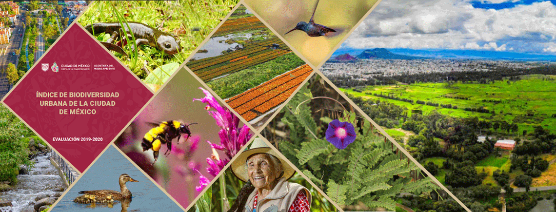 Índice de biodiversidad urbana