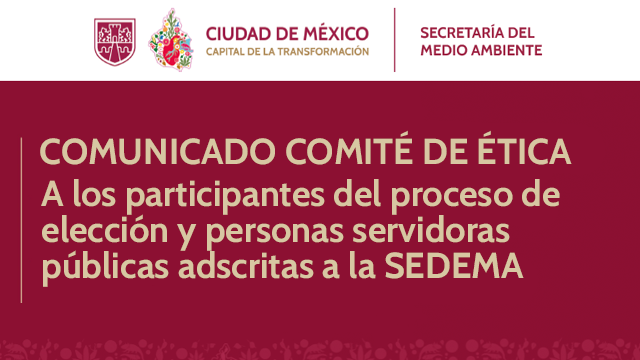 Las siguientes personas se integrarán al comité de mérito