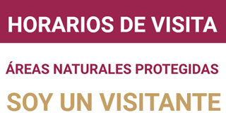 visitas.png