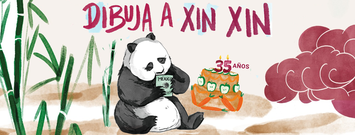 Xin Xin