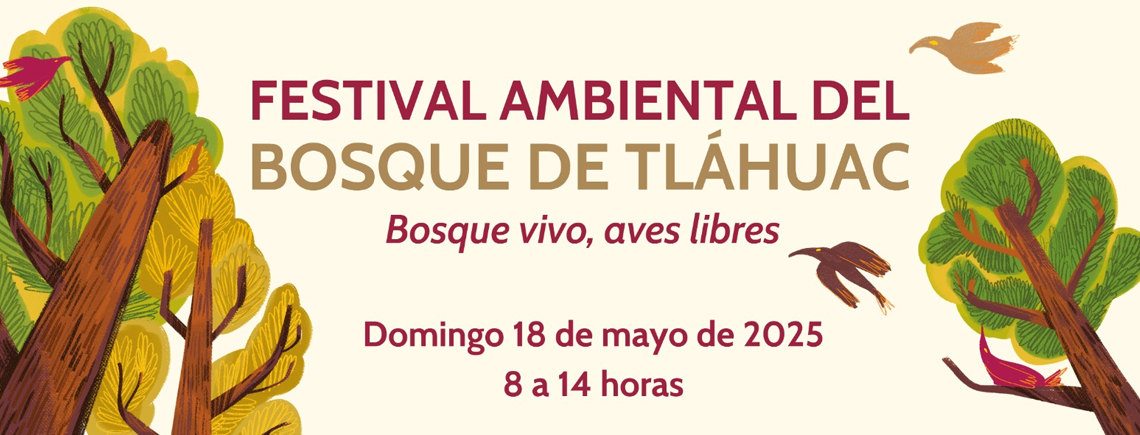 Festival