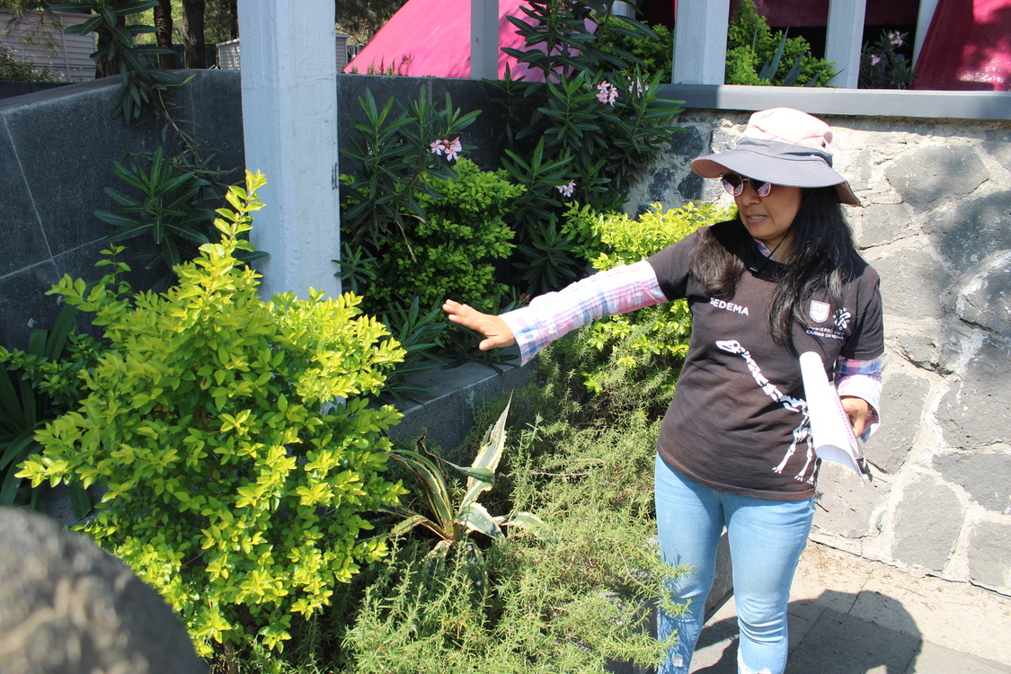 Fascinación por las plantas.jpg
