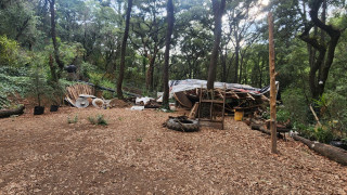Recupera SEDEMA Área de Valor Ambiental en la Barranca Atzoyapan