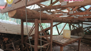 Efectivos de la SSC detuvieron a un hombre posiblemente relacionado con la tala ilegal de árboles, en la Barranca Atzoyapan, Álvaro Obregón