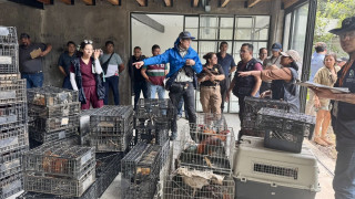 En un operativo conjunto en la “Barranca Atzoyapan”, autoridades resguardaron diferentes aves en visible maltrato