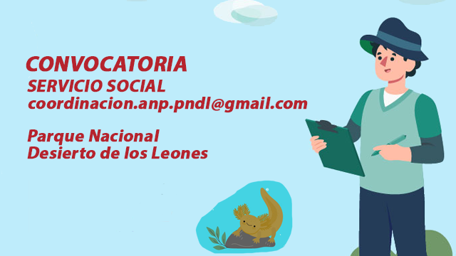 Servicio Social, Desierto de los Leones
