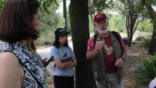 Talleres, charlas y exploración al aire libre en el Museo de Historia Natural y CCA de Chapultepec
