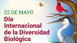 Día Internacional de la Diversidad Biológica, 22 de Mayo