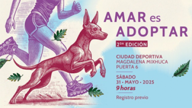 Carrera recreativa