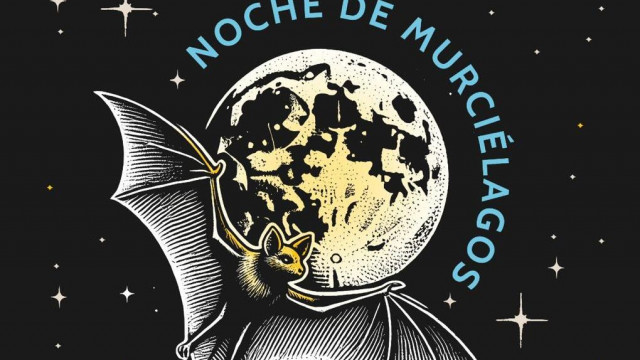Noche de murciélagos Yautlica.jpeg