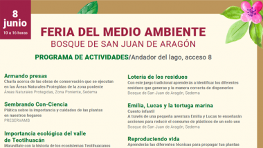 Bosque de San Juan de Aragón