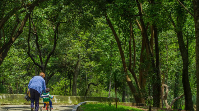Chapultepec bosque 2.jpg