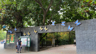 El Mariposario de Chapultepec celebra 20 años con actividades gratuitas para toda la familia