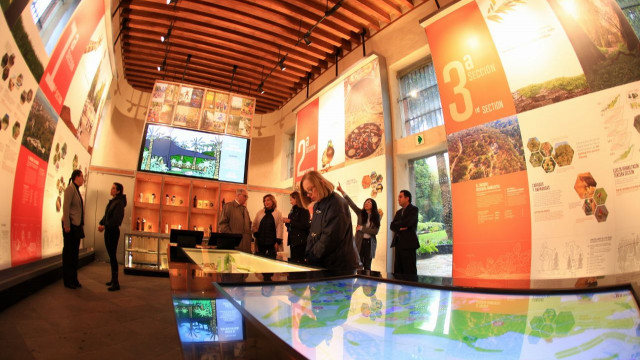 Museo sitio.jpg