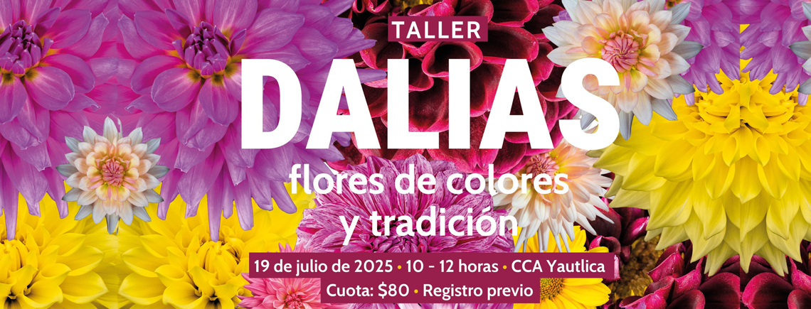 Taller Dalias