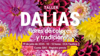 SEDEMA te invita a redescubrir la dalia en su hábitat natural
