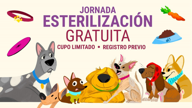 WhatsApp Image 2025-08-20 at 19.04.02 (1).jpeg